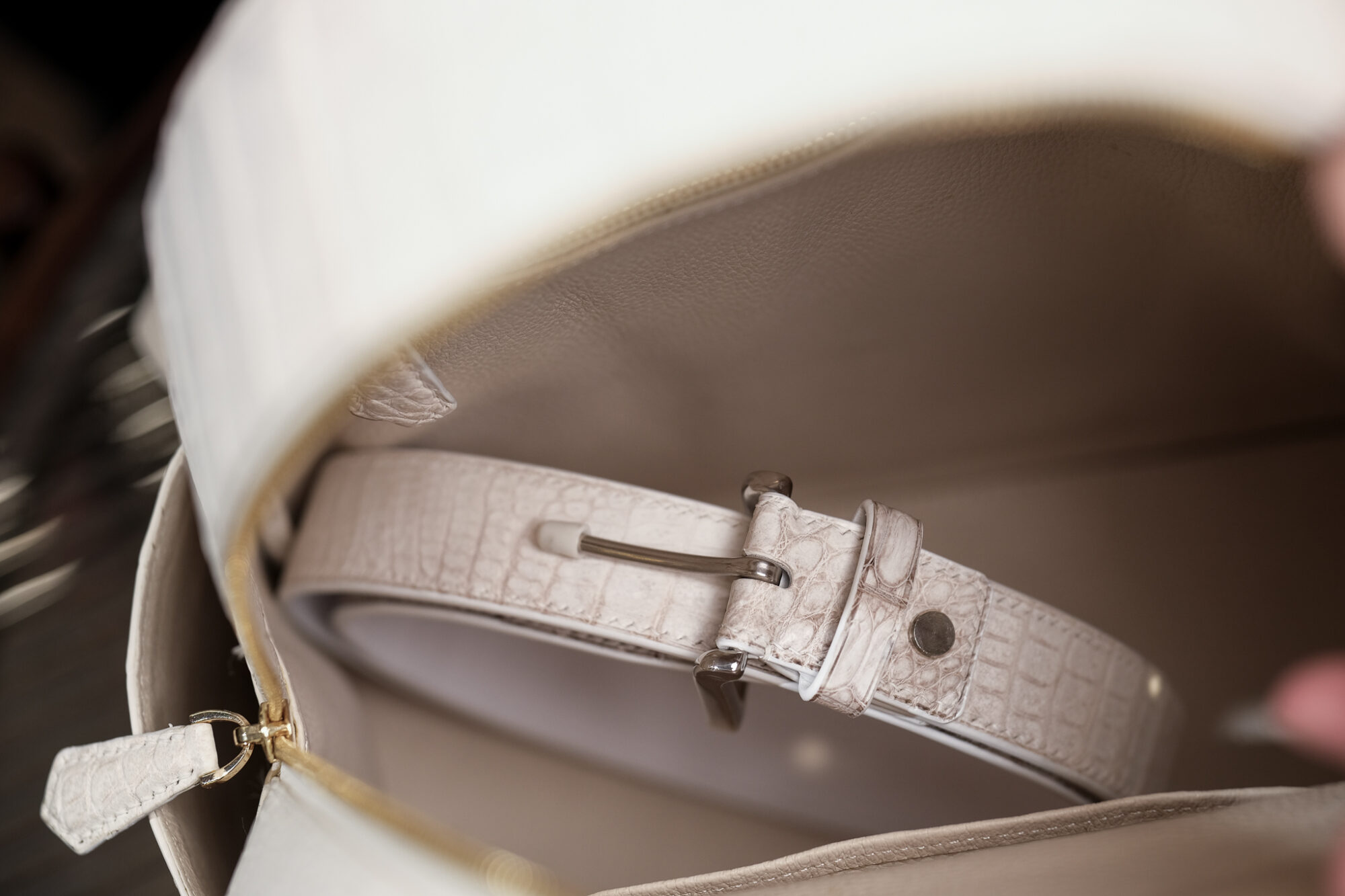 Himalaya Crocodile leather Backpack